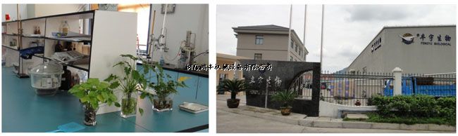 1666340900308408.jpg 舟山市豐宇海洋生物制品有限公司.jpg